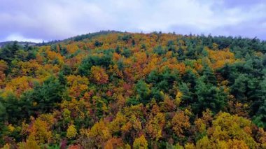 Uluda Üzerine Dramatik Işık: Bursa 'nın Karla Öpülmüş Dağları ve Alacakaranlık Şehri