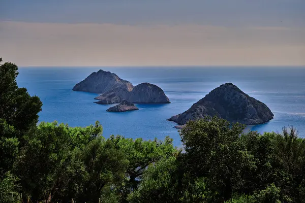 Akdeniz Nöbetçileri: Sükunet Suyu koruyan Sessizleştirilmiş Renkler