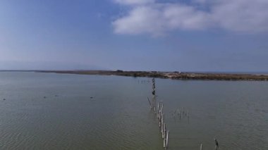 Kıyı Sulak Toprakları Serenity: Uçsuz bucaksız Mavi Gökyüzü Altındaki Sayısız Kuşlar ve Lehler Çizgisi ile İşaretlenmiş Sükunet Suları ve Uzak Sahil Şeridi Geniş Hava Görünümü.