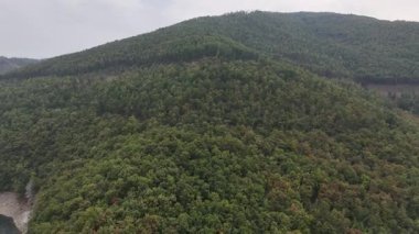 Bursa 'daki Baraj Gölü' nü çevreleyen Ormanlı Tepelerin Hava Panoraması.