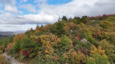 Dağın zirvesinden bir dron günlüğü, sonbaharın mevsimsel değişimi. Renkli yapraklarla doğayı çağrıştırıyor, vahşi doğayı..