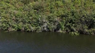 Verdant Ascent to Cultivation: Dynamic Vertical Tilt Drone shot of Boazky Dam Dam Gölü 'nün Bursa' daki Yamaçları, Yolu ve Olive Groves.