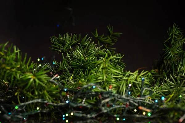 Festive Winter Holiday Abstract Decoration Christmas Tree Shiny Fairy Lights — Stock Photo, Image
