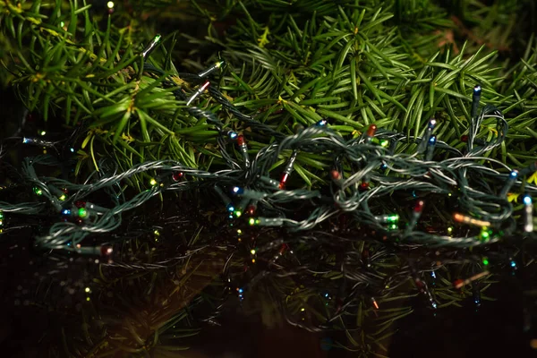 Férias Festivas Inverno Decoração Abstrata Árvore Natal Com Luzes Fadas — Fotografia de Stock
