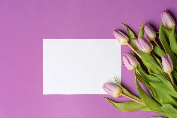 Stock image Purple tulips with empty note card on matching purple background arrangement top view flat lay with copy space