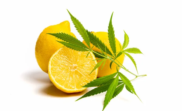 Marijuana Blad Och Citron Isolerad Vit — Stockfoto