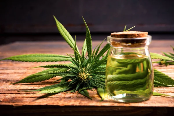 Marijuana plant with buds and essential oil on a wooden table