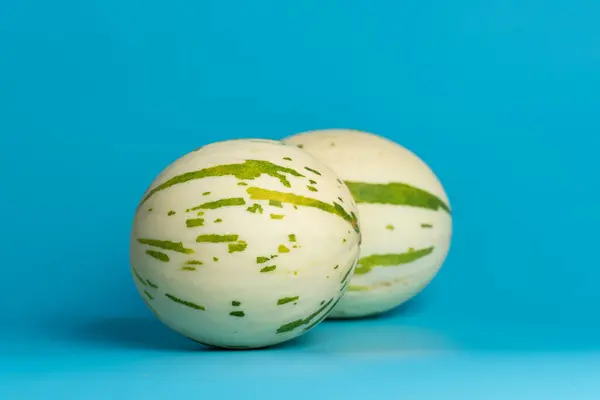 Ivory gaya melon with green dotted stripes and spots on a blue background. Colorful ripe juicy and soft fruit, sweet taste with floral notes