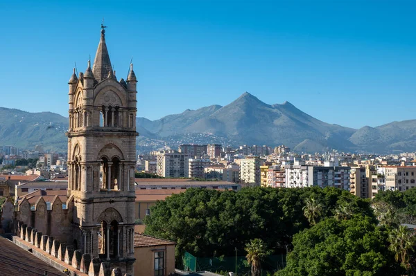 Majestätisk Palermo Katedral Står Högt Bland Fantastiska Landskap Träd Berg Stockbild