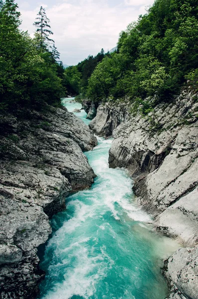 Güzel mavi nehir Soca, popüler açık hava durağı, Soca Vadisi, Slovenya, Avrupa