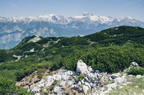 İlkbaharın sonlarında Slovenya 'daki Julian Alps, Triglav Ulusal Parkı, Avrupa' daki panoramik manzara