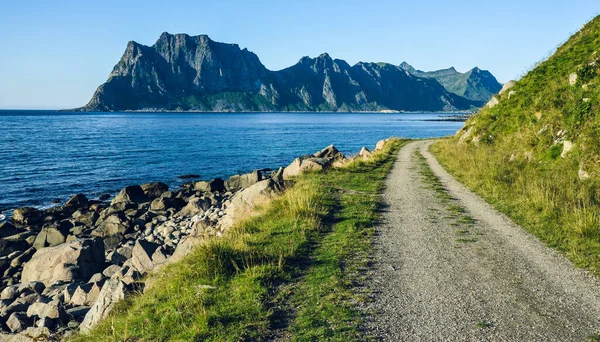 Chemin Menant Long Côte Aux Îles Lofoten Été Par Une — Photo