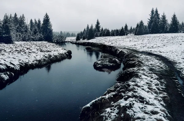 Jizerka 'daki Jizera nehri, Çek Cumhuriyeti, Avrupa, kışın, karla kaplı.