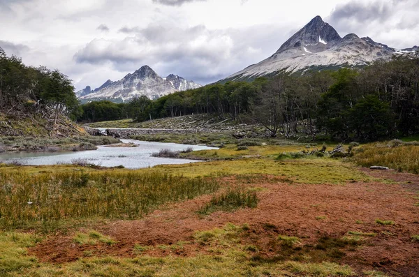 Rašeliniště Parku Tierra Del Fuego Ushuaia Paragonia Argentina Jižní Amerika — Stock fotografie