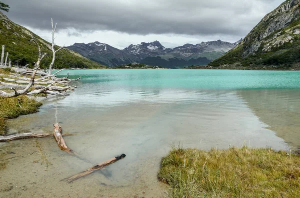 Trockener Zweig Schönen Blauen See Laguna Esmeralda Feuerland Bei Ushuaia — Stockfoto