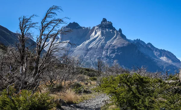 Εθνικό Πάρκο Los Cuernos Torres Del Paine Στη Χιλή Παταγονία — Φωτογραφία Αρχείου