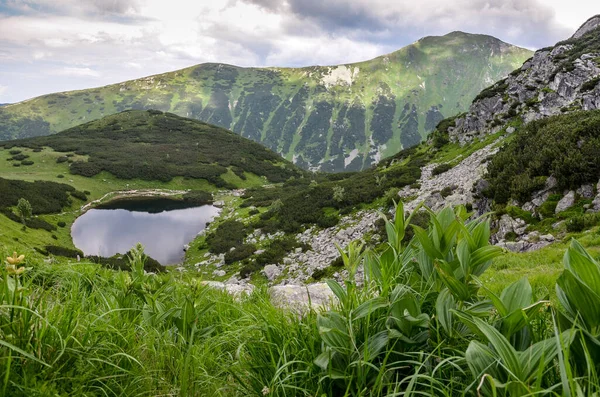Senderismo Rohace Tatras Occidental Alrededor Rohacske Plesa Eslovaquia —  Fotos de Stock