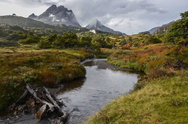 Fluss Dientes Navarino Süden Chiles Patagonien Südamerika — Stockfoto