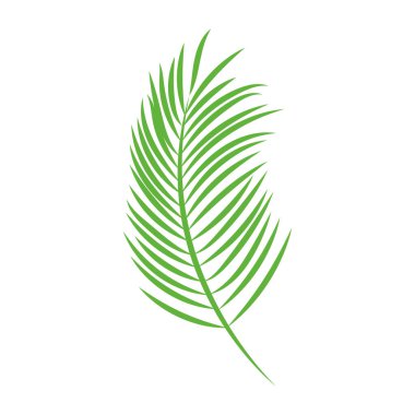 Isolated colored summer leaf sketch icon Vector illustration