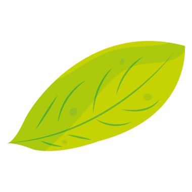 Isolated sketch of a natural leaf icon Vector illustration