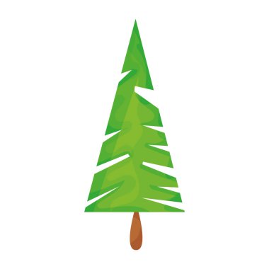 Isolated green pine tree icon Vector illustration clipart