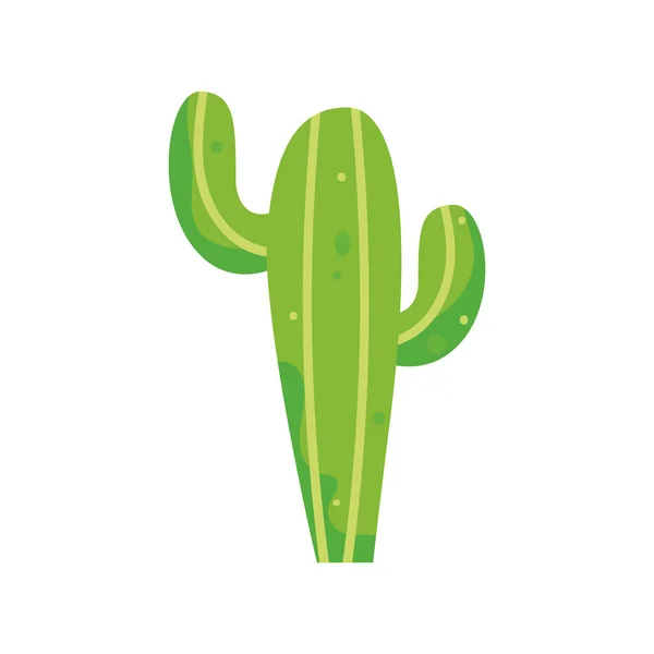 Icono Cactus Aislado Diseño Plano Ilustración Vectorial — Vector de stock