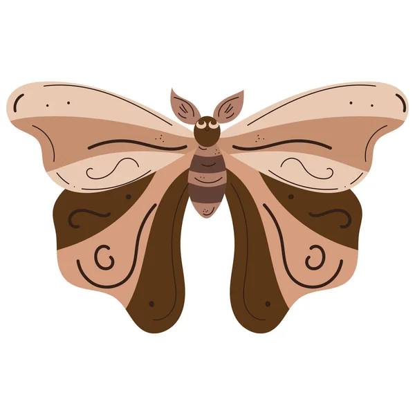 Izolovaná Barevná Kresba Motýla Vektorová Ilustrace — Stockový vektor