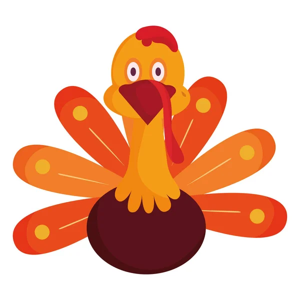 Isolated Cute Turkey Bird Character Vector Illustration — Stock Vector