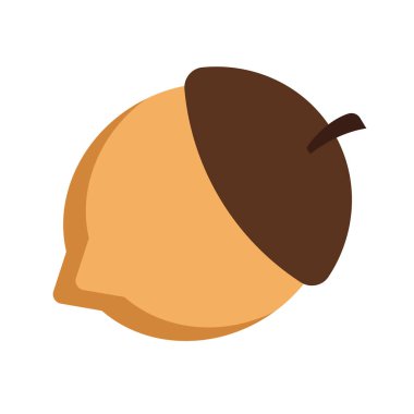 Sonbahar doğa süslemesi için koyu kepekli ve açık tenli tek kahverengi palamut cevizi.