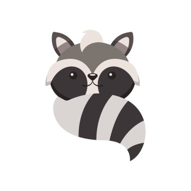 Siyah çizgili kuyruklu şirin gri rakun sivri kulaklar ve orman hayvanı tasarımı Vektör illüstrasyonu için arkadaş canlısı yüz.