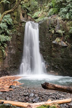 Salto do Prego Şelalesi, Sao Miguel adasının güneydoğu bölgesinde. Azores, Portekiz.