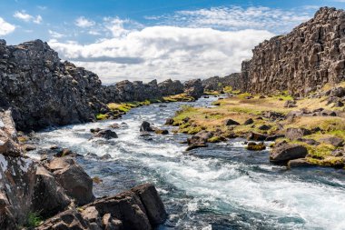 Oxara Nehri İzlanda 'daki Thingvellir Ulusal Parkı' ndaki Almannagja yarığından akıyor.
