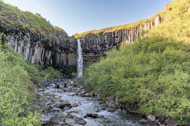Svartifoss Şelalesi İzlanda 'daki Skaftafell Milli Parkı' nda, koyu bazalt sütunlarla çevrili.