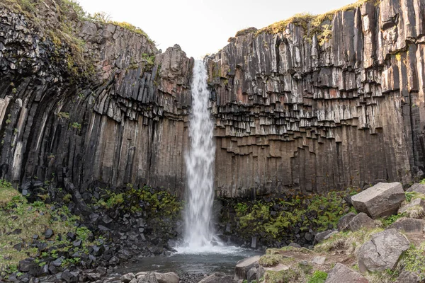 Водоспад Свартіфосс Національному Парку Скафтафелл Ісландії Оточений Темними Базальтовими Колонами — стокове фото