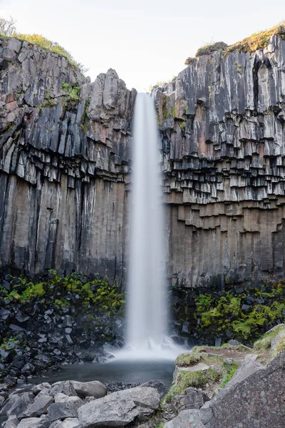 Водоспад Свартіфосс Національному Парку Скафтафелл Ісландії Оточений Темними Базальтовими Колонами — стокове фото