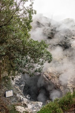 Furnas 'taki buharlı fümerol, Sao Miguel adasında, Azores takımadalarında
