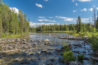 Wyoming 'deki Grand Teton Ulusal Parkı' nda String Gölü ile Leigh Gölü arasında akan su.