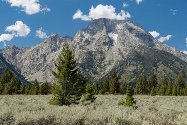 Moran Dağı, Wyoming 'deki Grand Teton Ulusal Parkı' nda Dağ Bakış Katılımından görüldü.