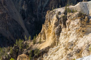 Yellowstone 'un Büyük Kanyonu' nun dik yamacı kuzey kenarındaki Yedi Mil Delik Yolu 'ndan görülüyor.