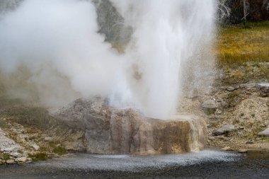 Riverside Gayzer 'i Yellowstone Ulusal Parkı' nın üst gayzer havzasında Firehole Nehri boyunca püskürdü.