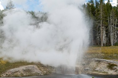 Riverside Gayzer 'i Yellowstone Ulusal Parkı' nın üst gayzer havzasında Firehole Nehri boyunca püskürdü.