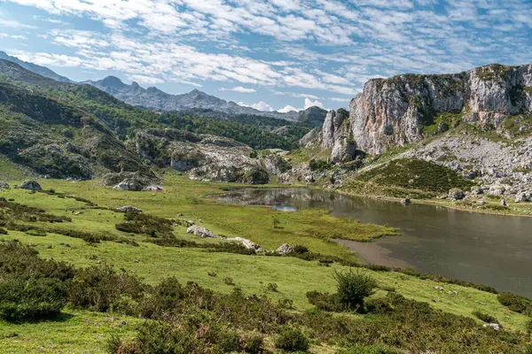İspanya 'nın kuzeyinde Picos de Europa Ulusal Parkı' nda Covadonga Gölü olarak bilinen grup Ercina Gölü.