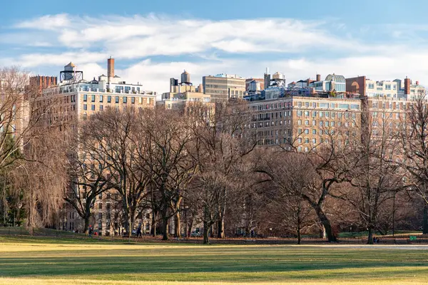 Central Park 'ın kış manzarası. Arka planda Doğu Harlem binaları, New York.