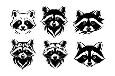 Stilize edilmiş Rakun Kafa Maskotu ve Logo Vektör Kümesi