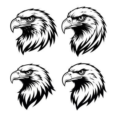 Biçimli Kartal Kafa Maskotu ve Logo Vektörü Ayarları
