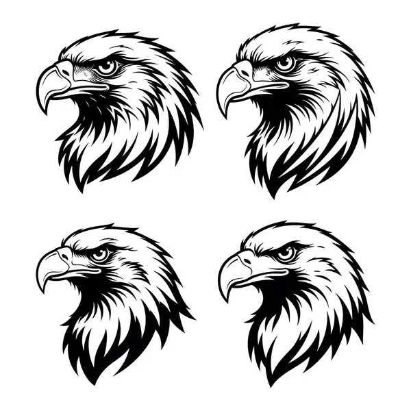 Biçimli Kartal Kafa Maskotu ve Logo Vektörü Ayarları
