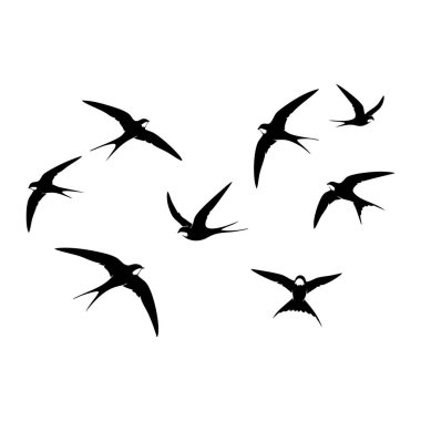 Siluetli kırlangıç sürüsü temiz beyaz bir tuvale doğru süzülüyor.