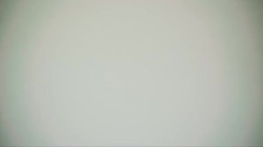 100 Avro banknotlar, 100 Avro banknotlar, 100 Avro banknotlar, 100 Avro banknotlar, 100 Avro, 100 Avro, 100 Avro, 100 Avro, 100 Avro, 100 Para, Para, Para, Para, Faturalar,