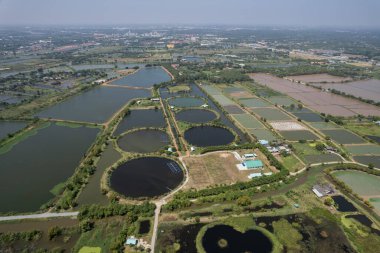 Balık göletinin uçan insansız hava aracı, balık çok uzakta.