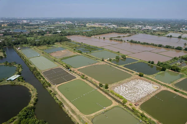 Stock image Aerial view from flying drone of Fish pond, fish far